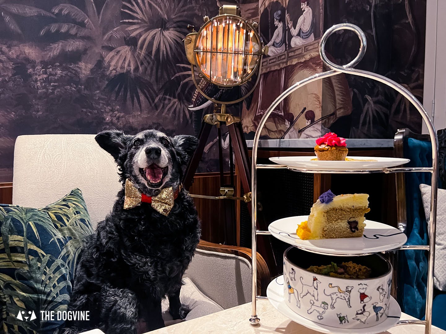 Rescue Dog Belinha sits next to a 3-tier Afternoon Tea for Dogs. Doggie Bowl at the bottom, followed by a slice of Doggie Cake, Pink Peony Pupcake and Doggie Digestives.